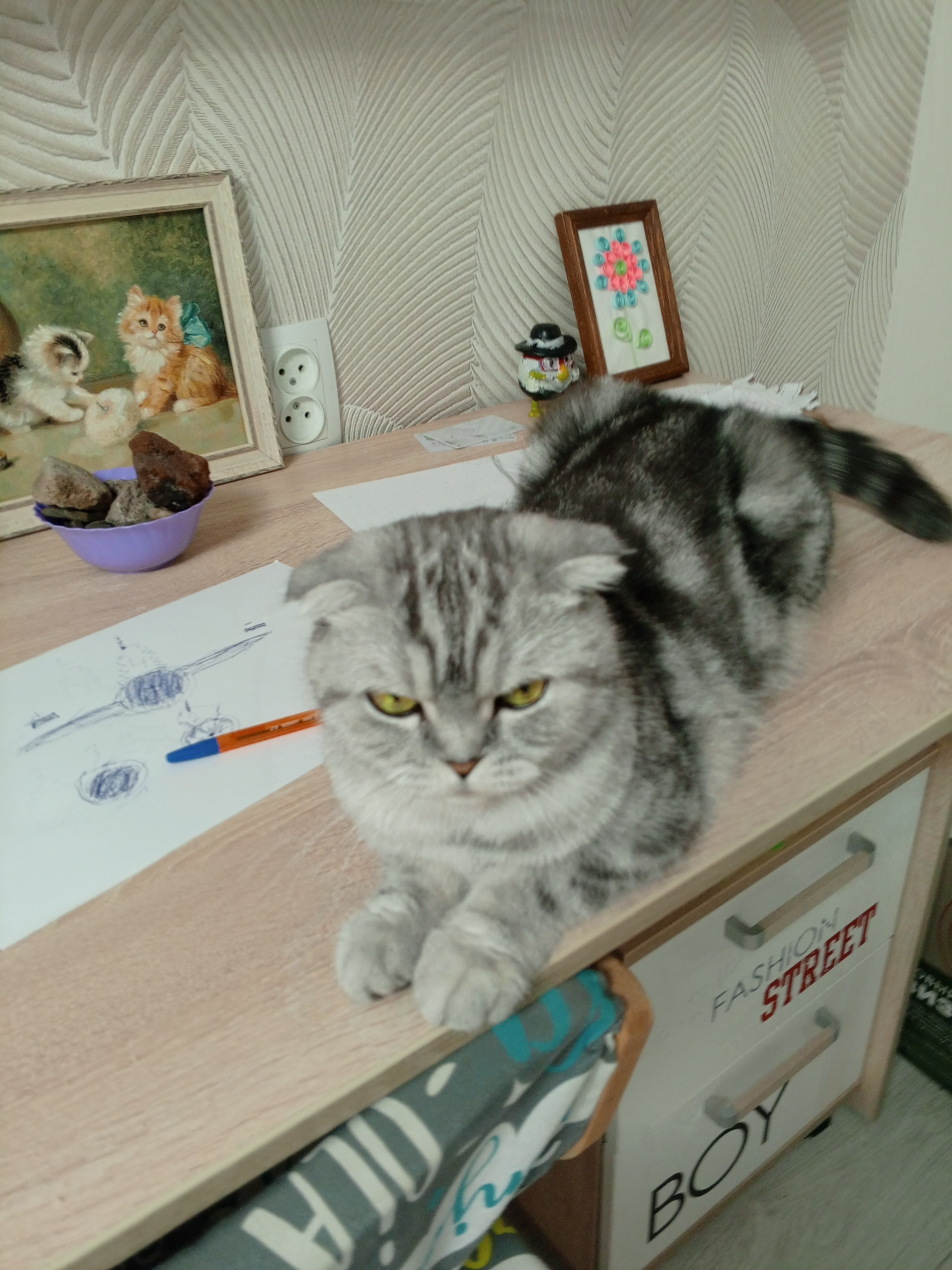 Аватар пользователя