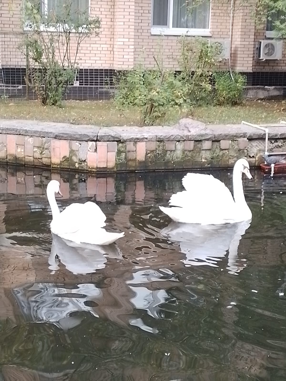 Аватар пользователя