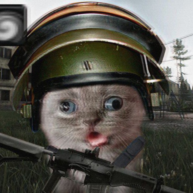 Аватар пользователя