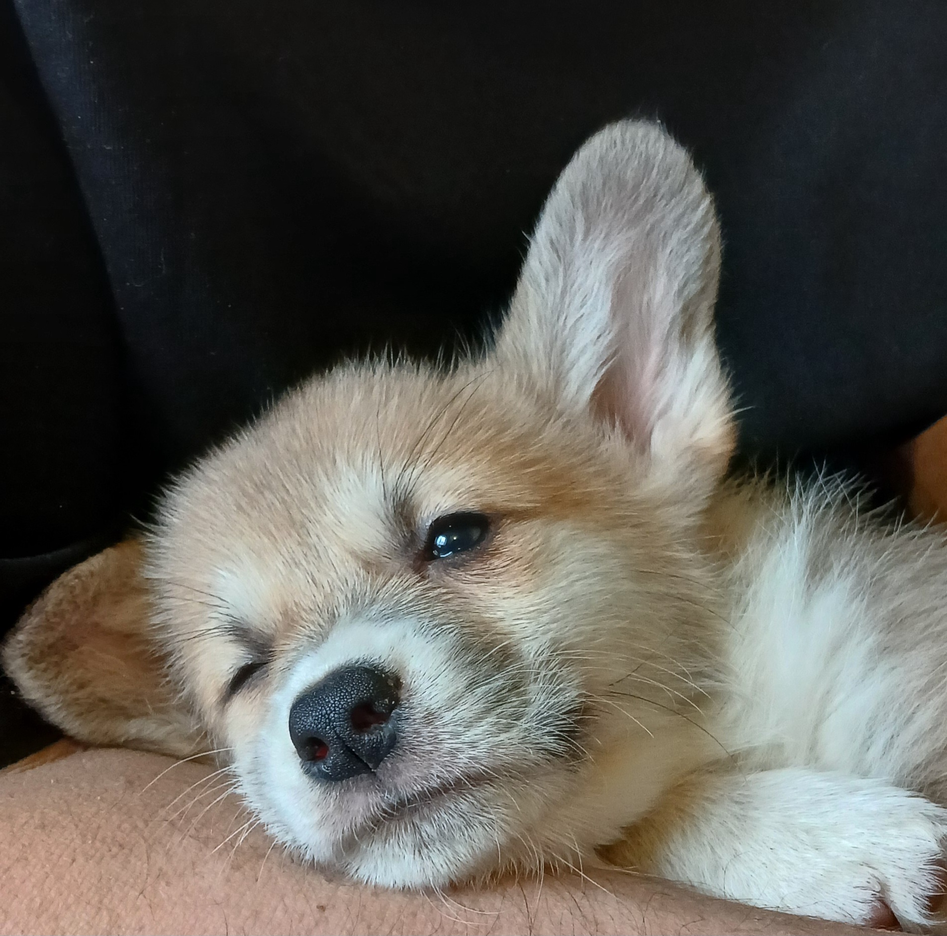 Аватар пользователя