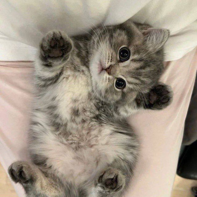 Аватар пользователя