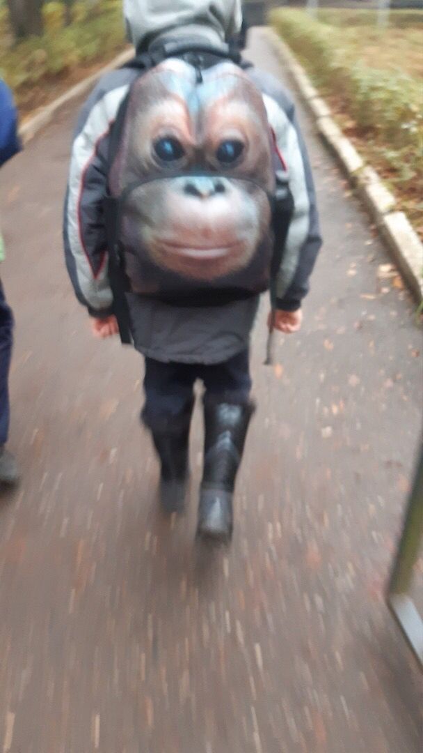 Аватар пользователя