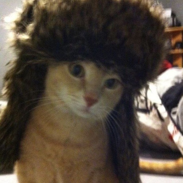 Аватар пользователя