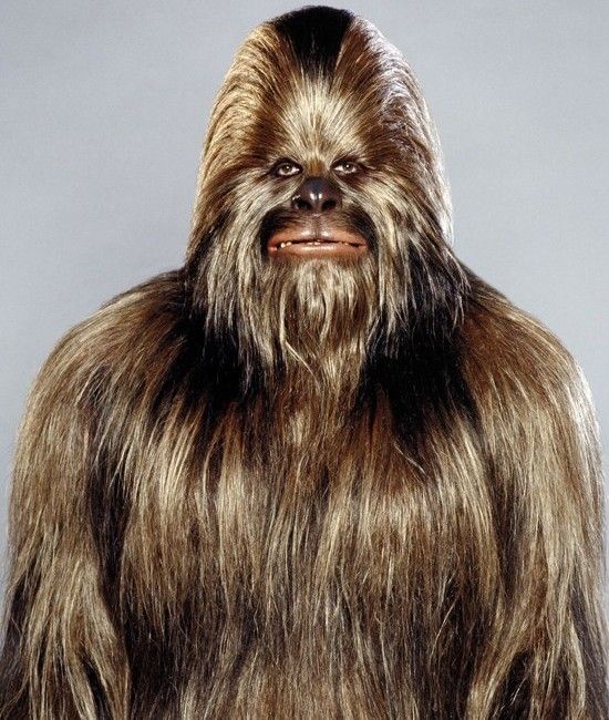 Аватар пользователя