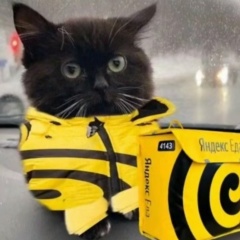 Аватар пользователя