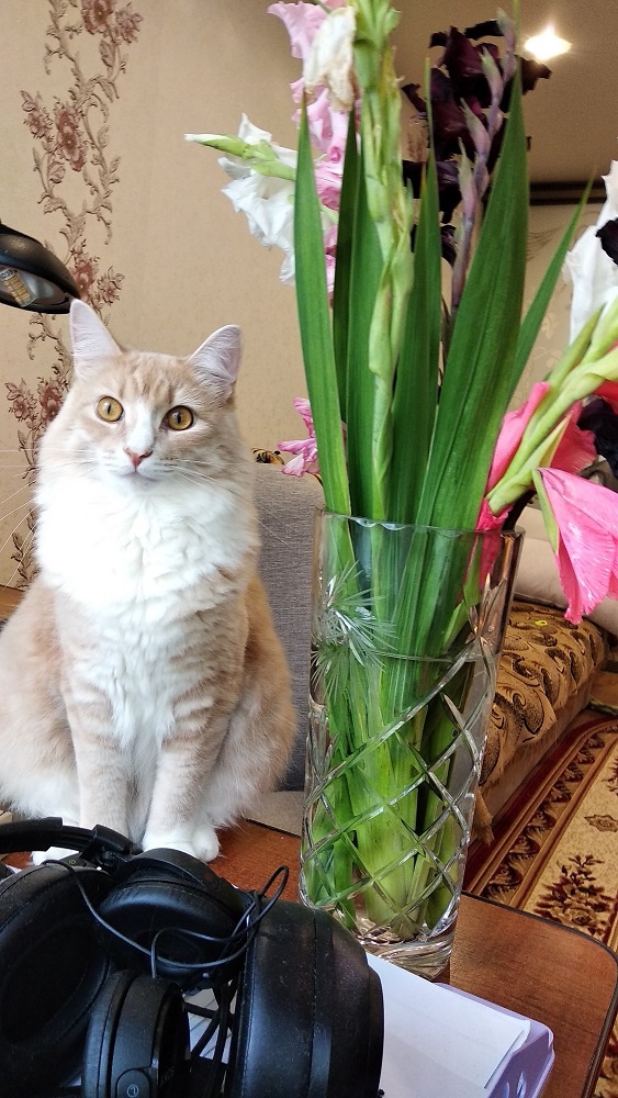 Аватар пользователя