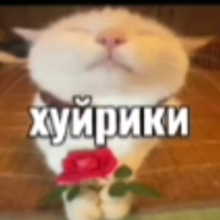 Аватар пользователя