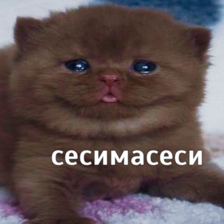 Аватар пользователя