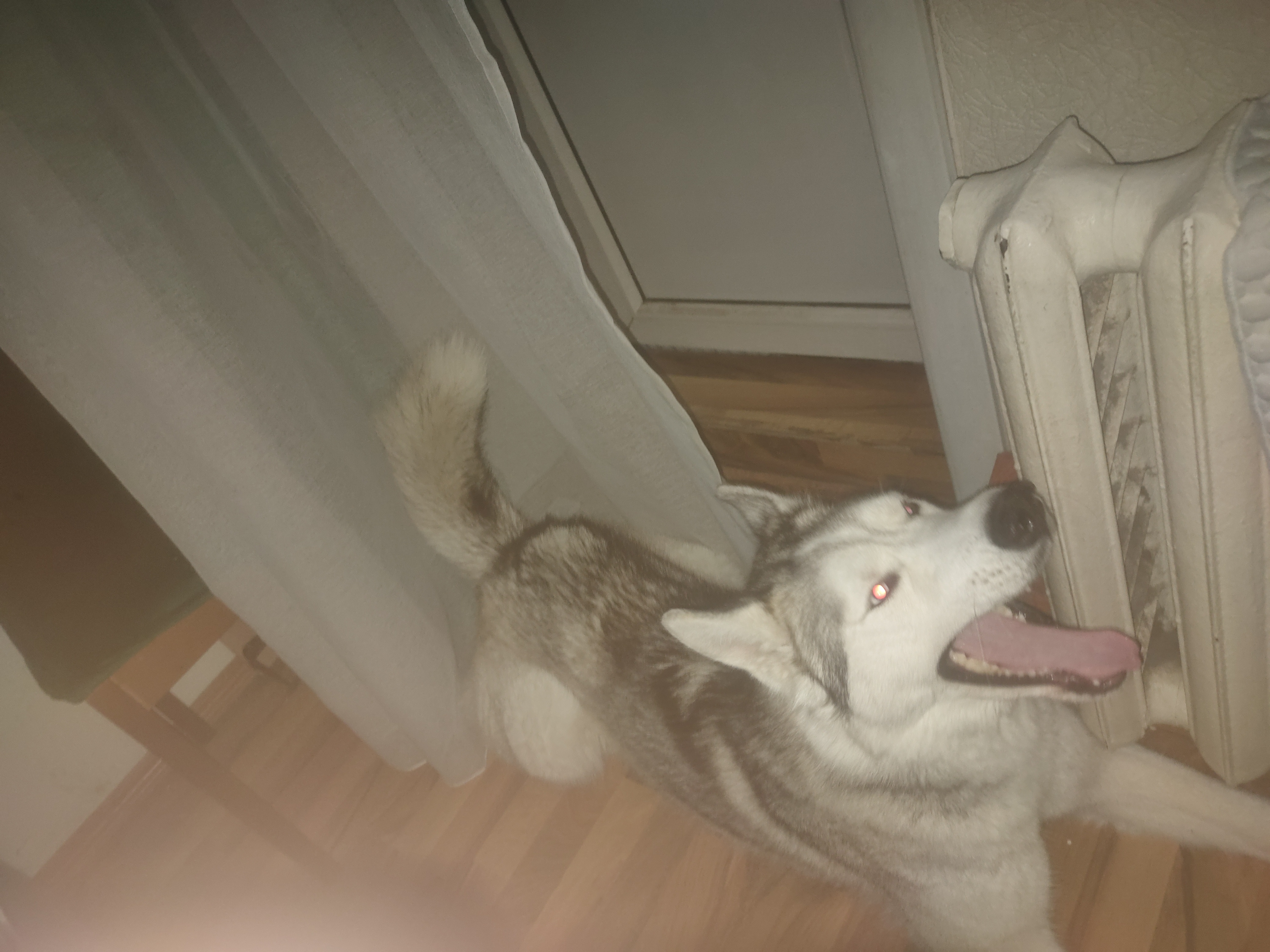 Аватар пользователя