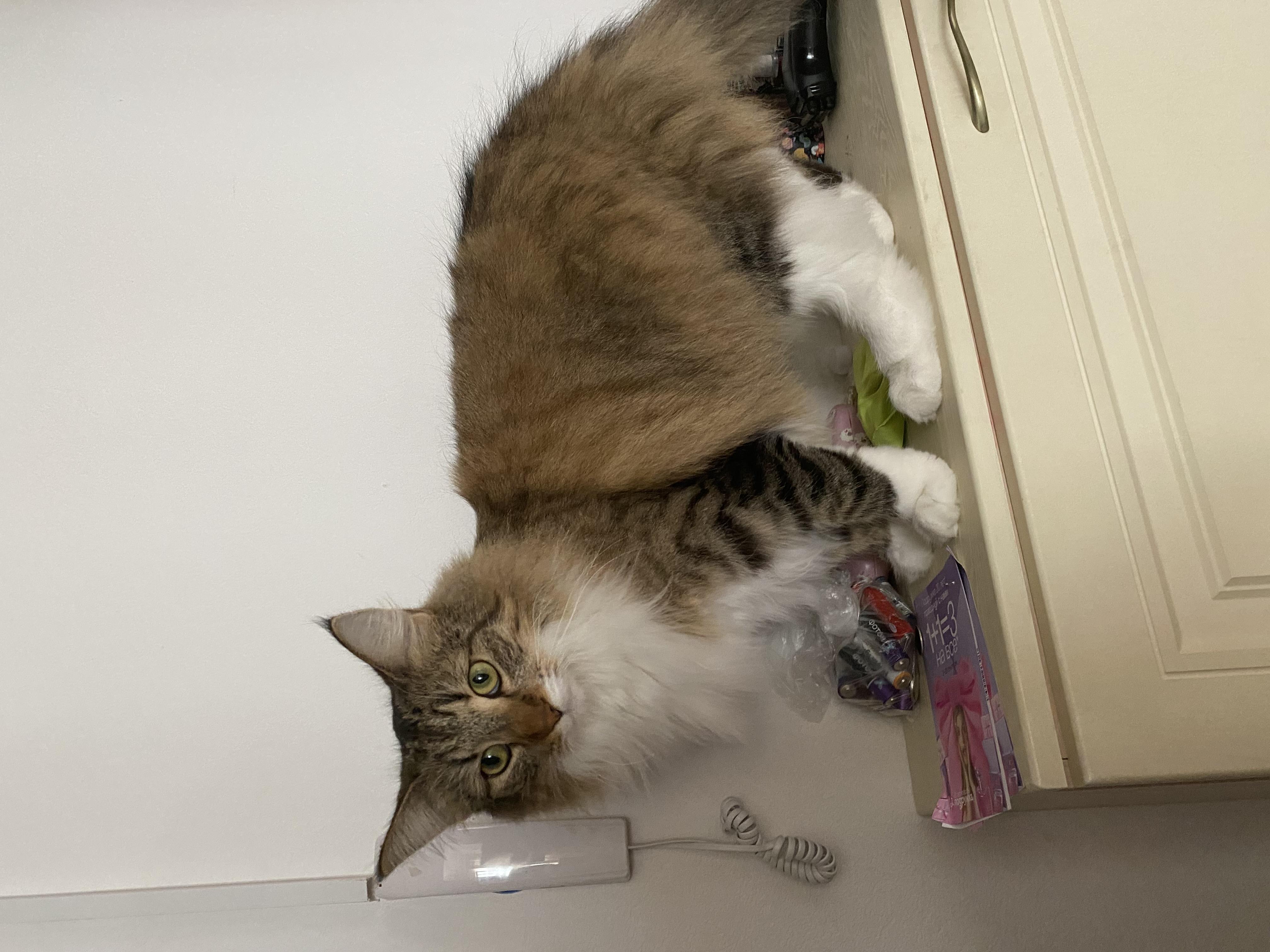 Аватар пользователя