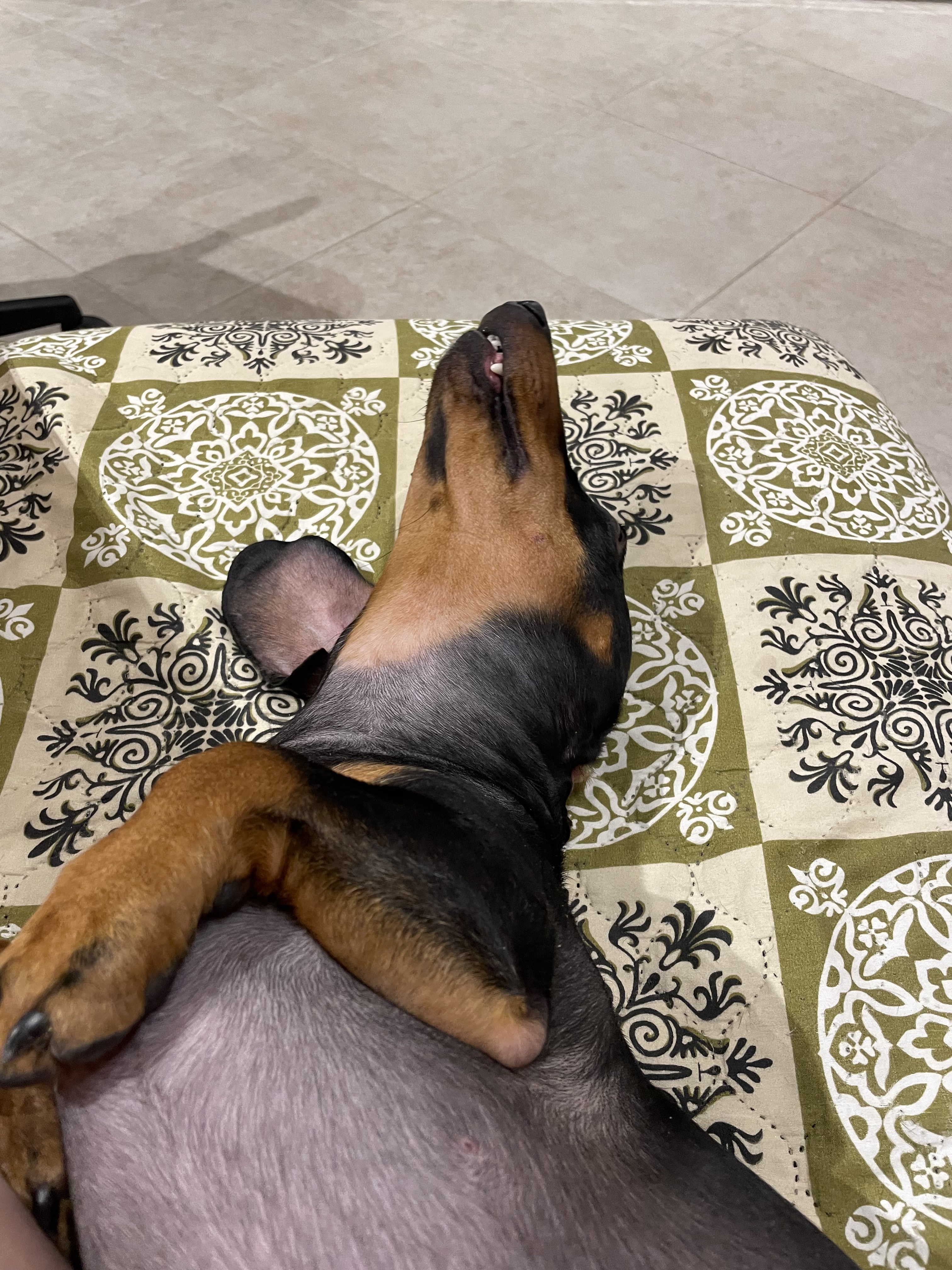 Аватар пользователя