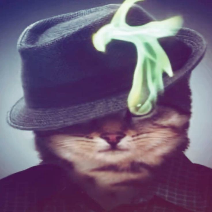 Аватар пользователя