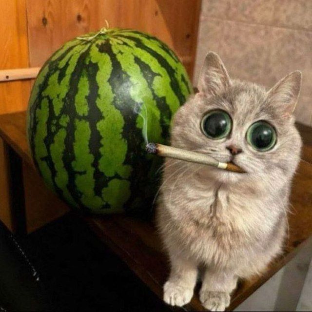 Аватар пользователя