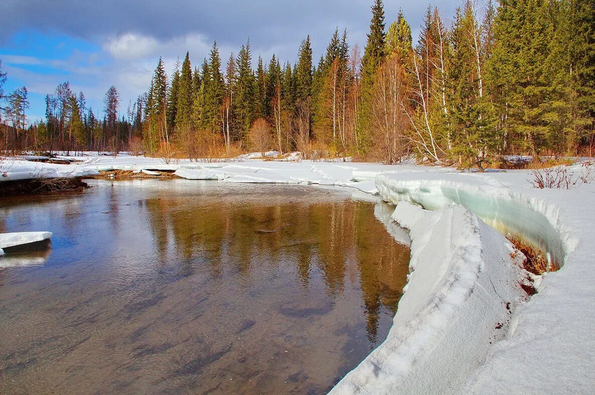 Аватар пользователя