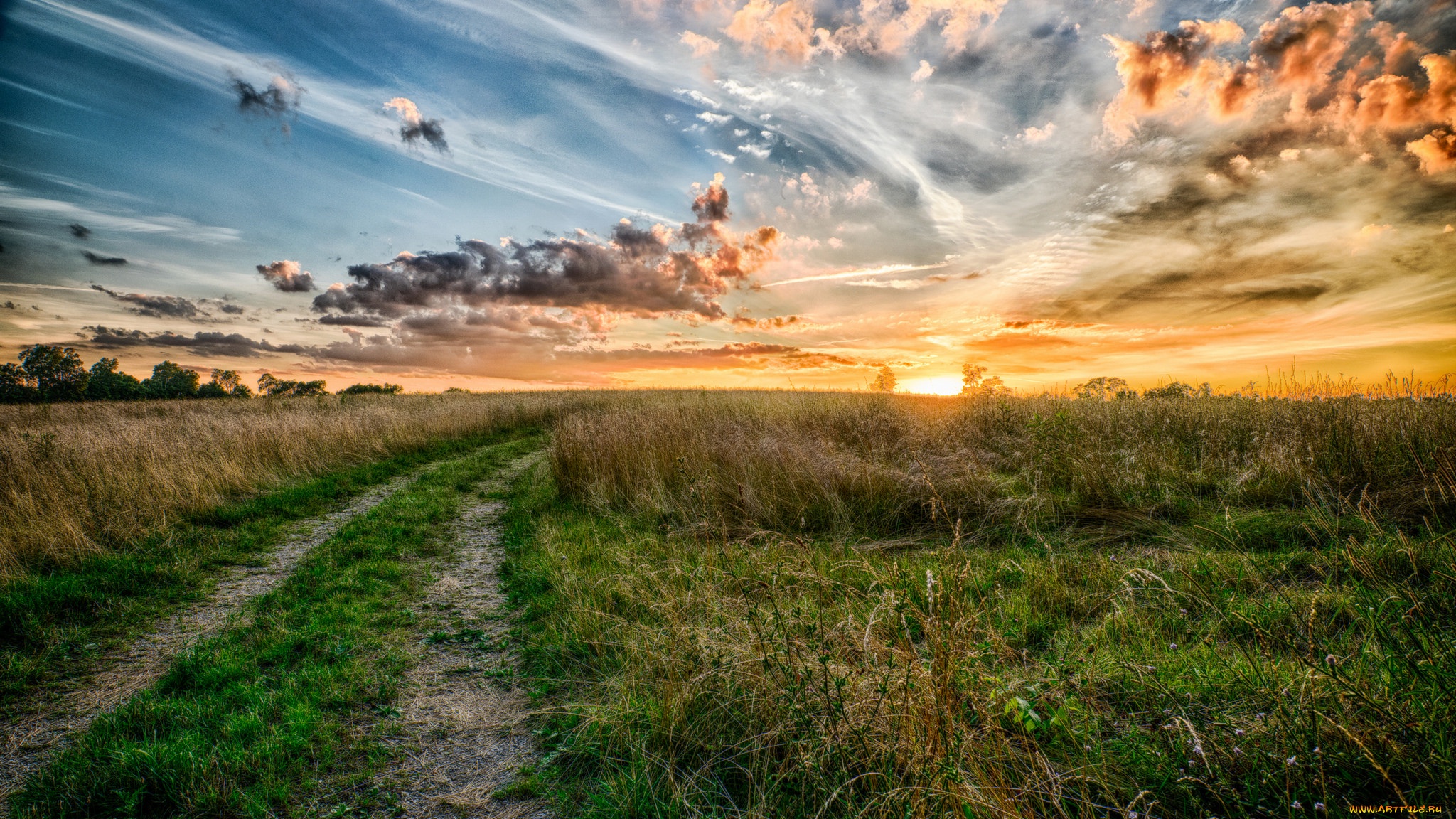 Аватар пользователя