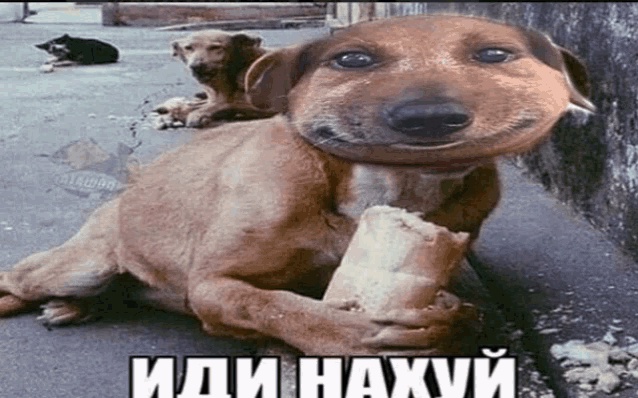 Аватар пользователя
