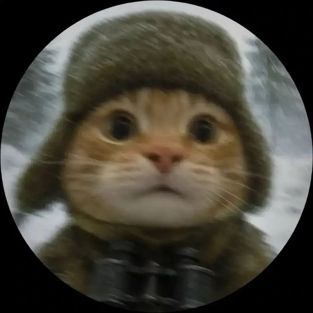 Аватар пользователя