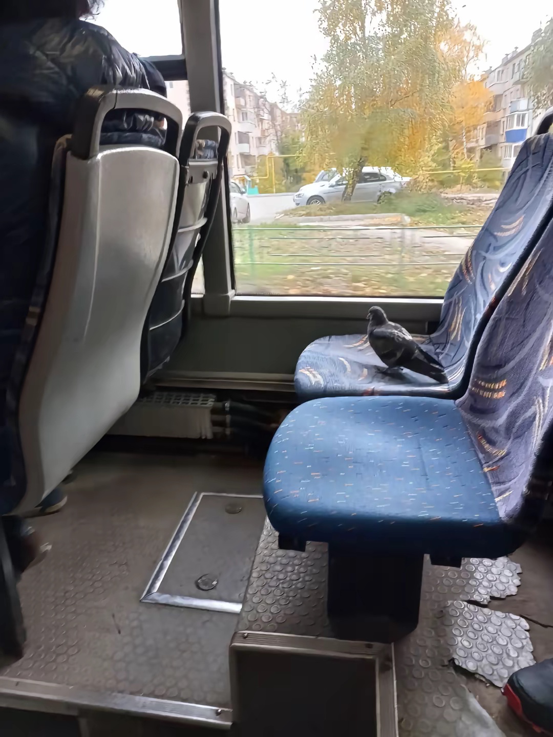 Аватар пользователя