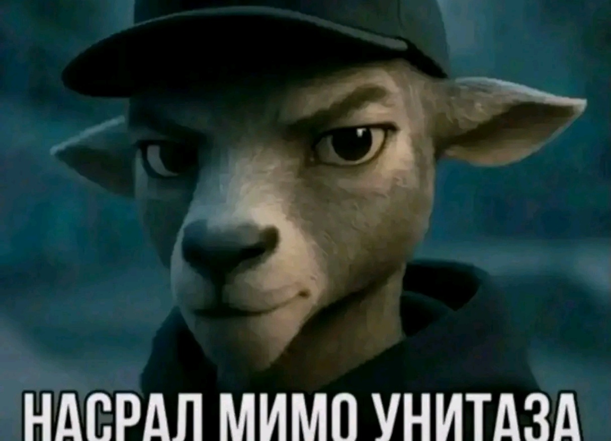 Аватар пользователя