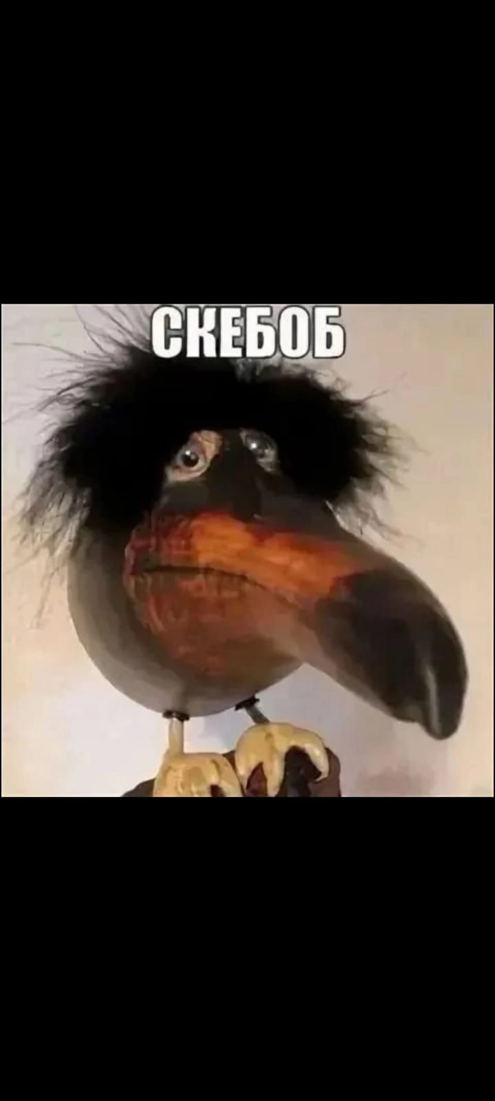 Аватар пользователя