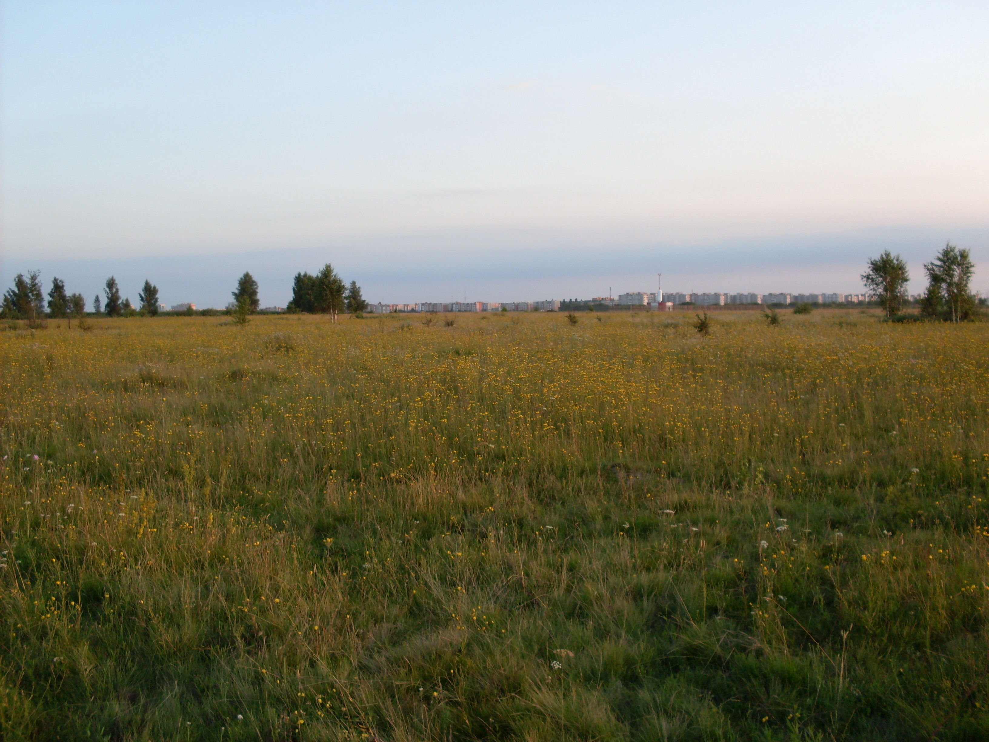 Аватар пользователя