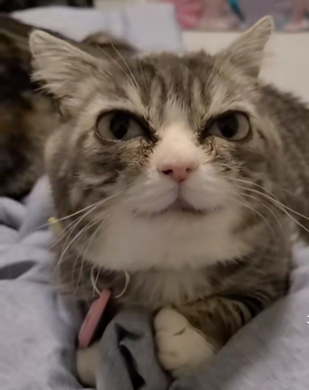 Аватар пользователя