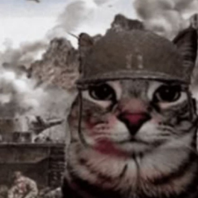 Аватар пользователя