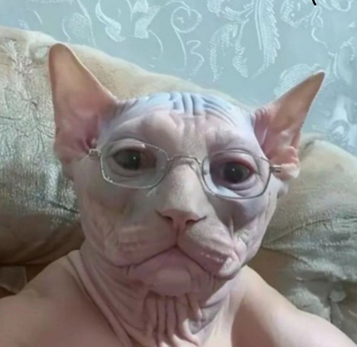 Аватар пользователя