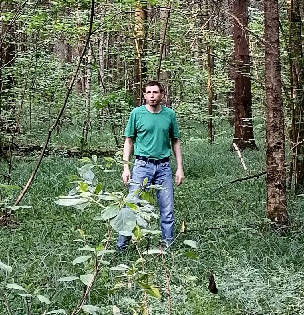 Аватар пользователя