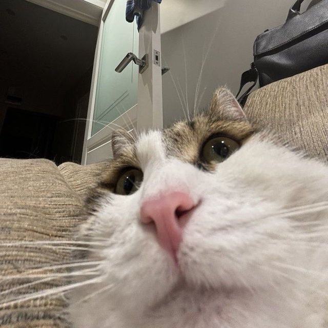 Аватар пользователя