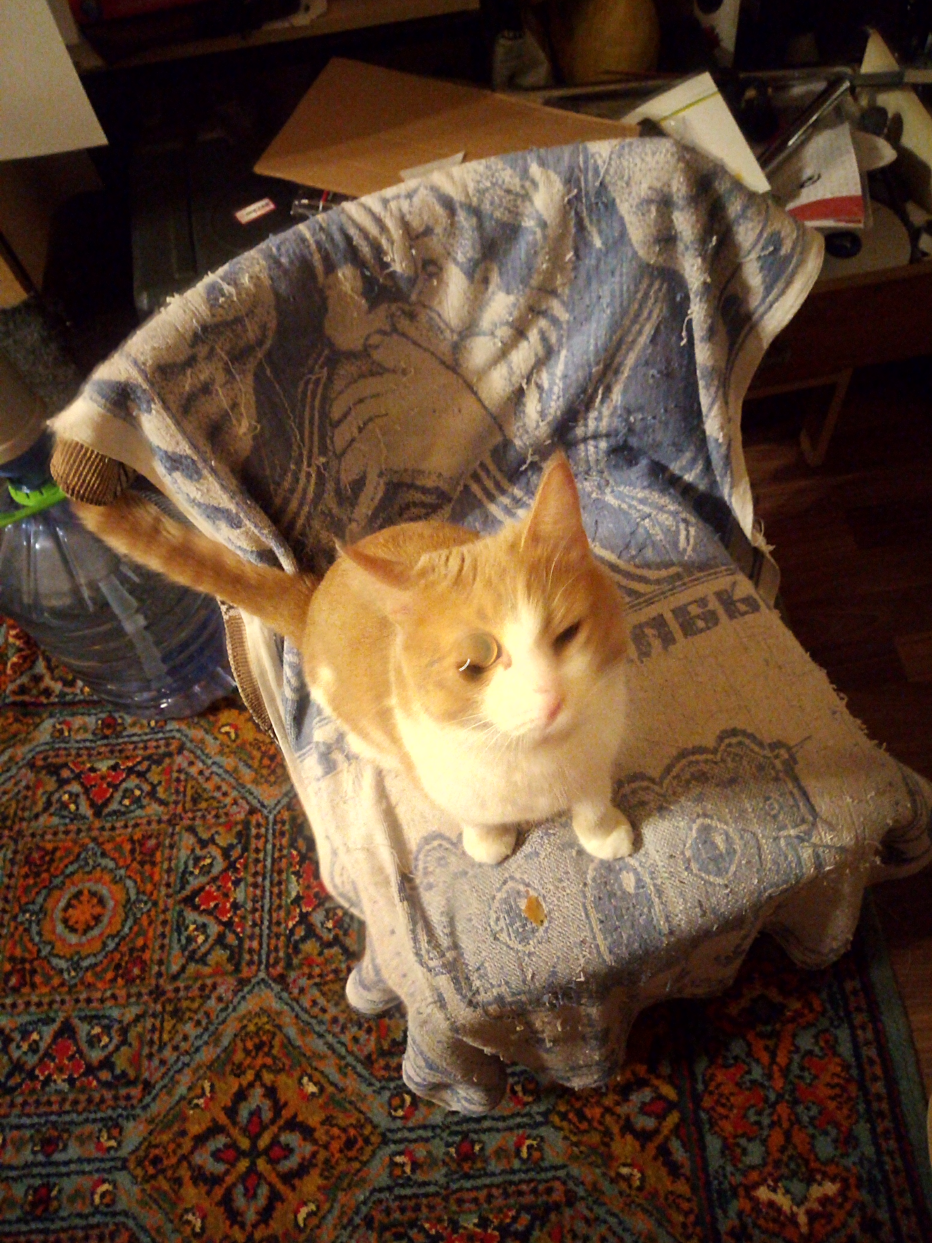 Аватар пользователя