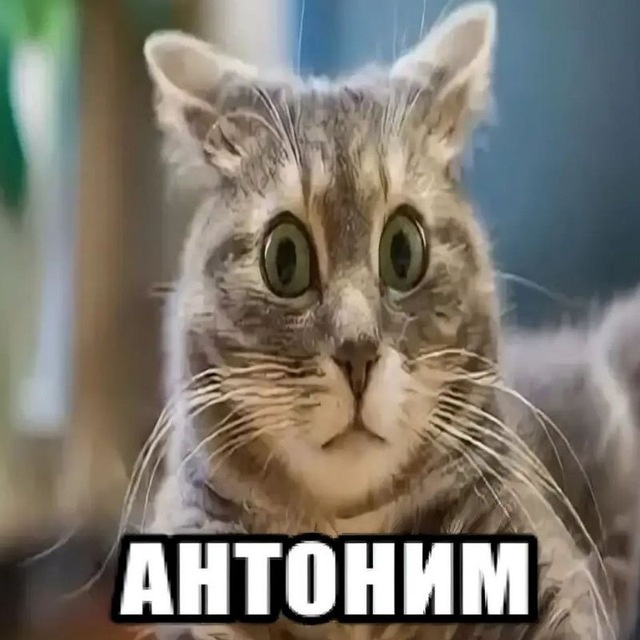 Аватар пользователя