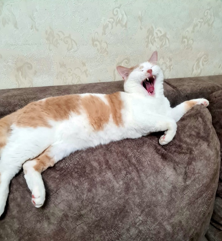 Аватар пользователя