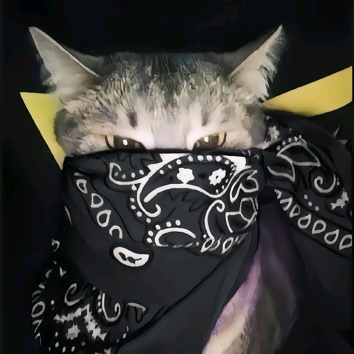 Аватар пользователя