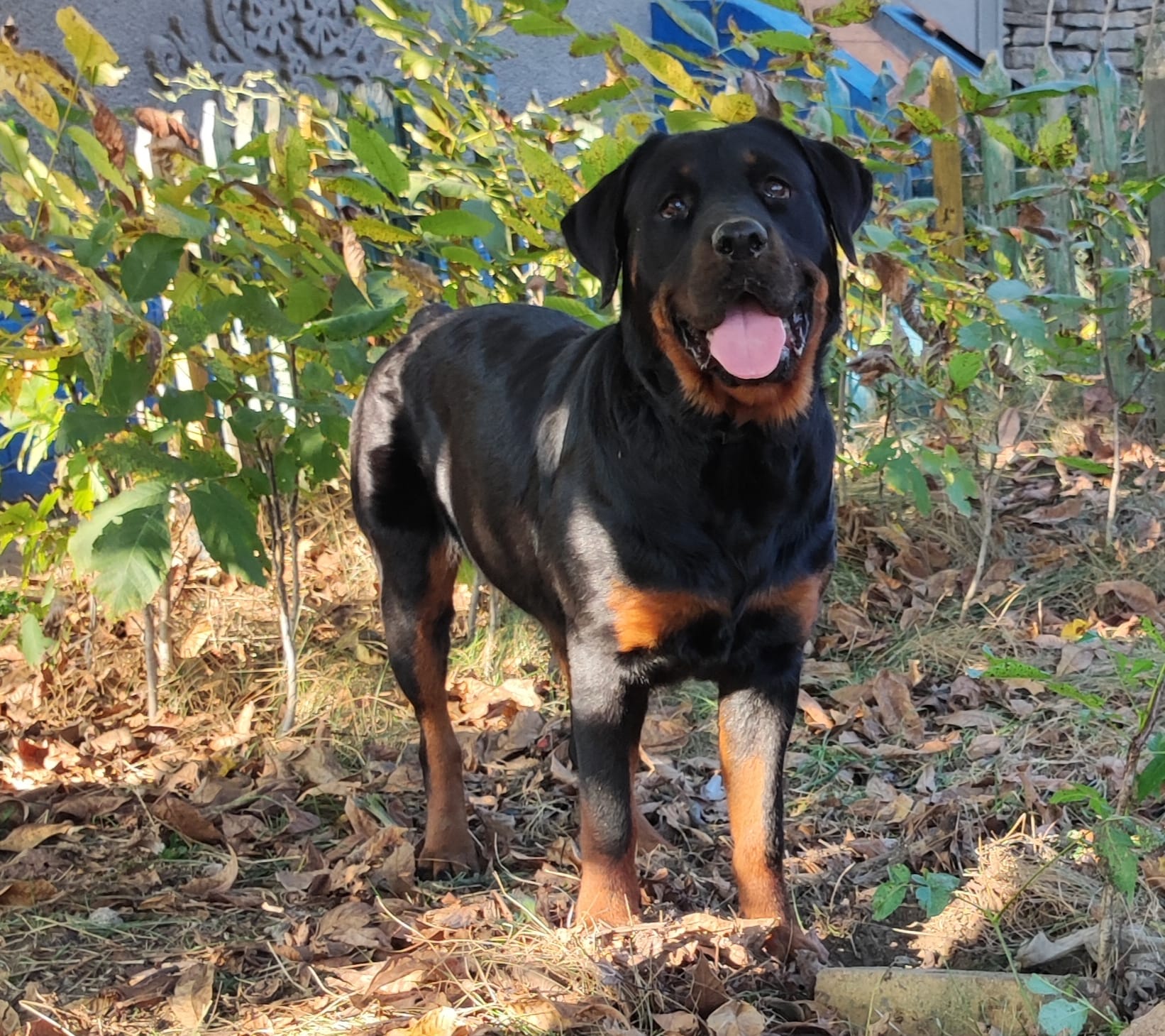 Аватар пользователя