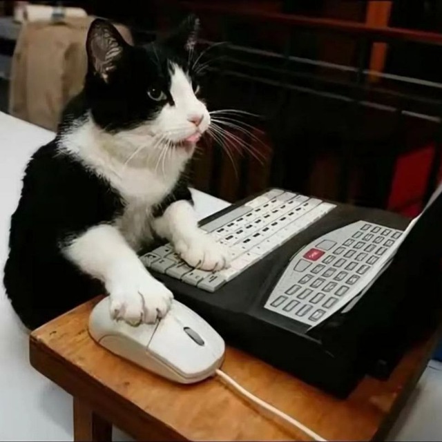 Аватар пользователя