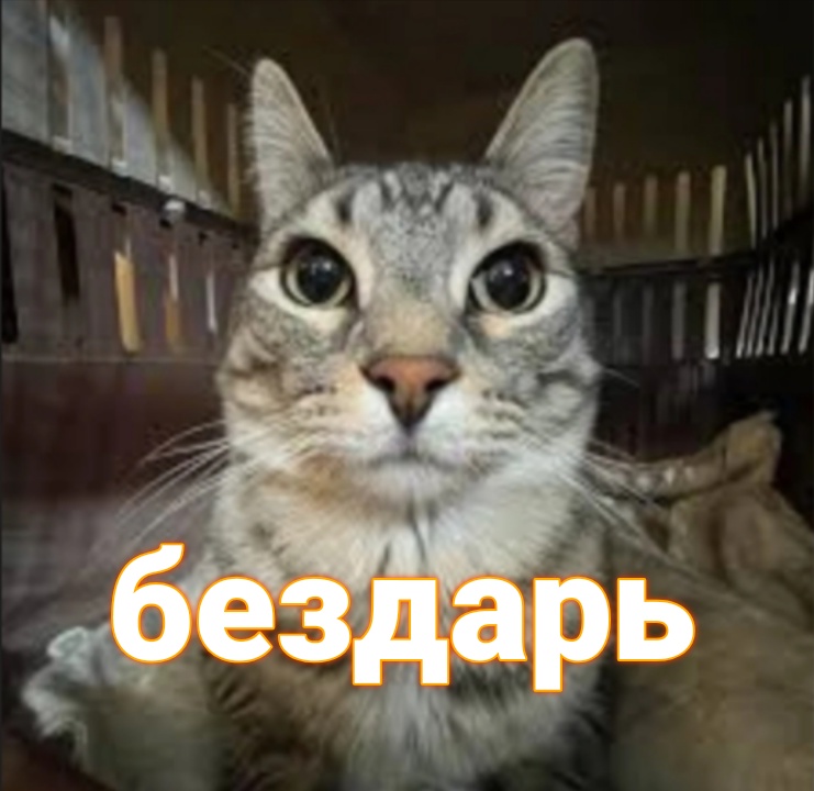 Аватар пользователя