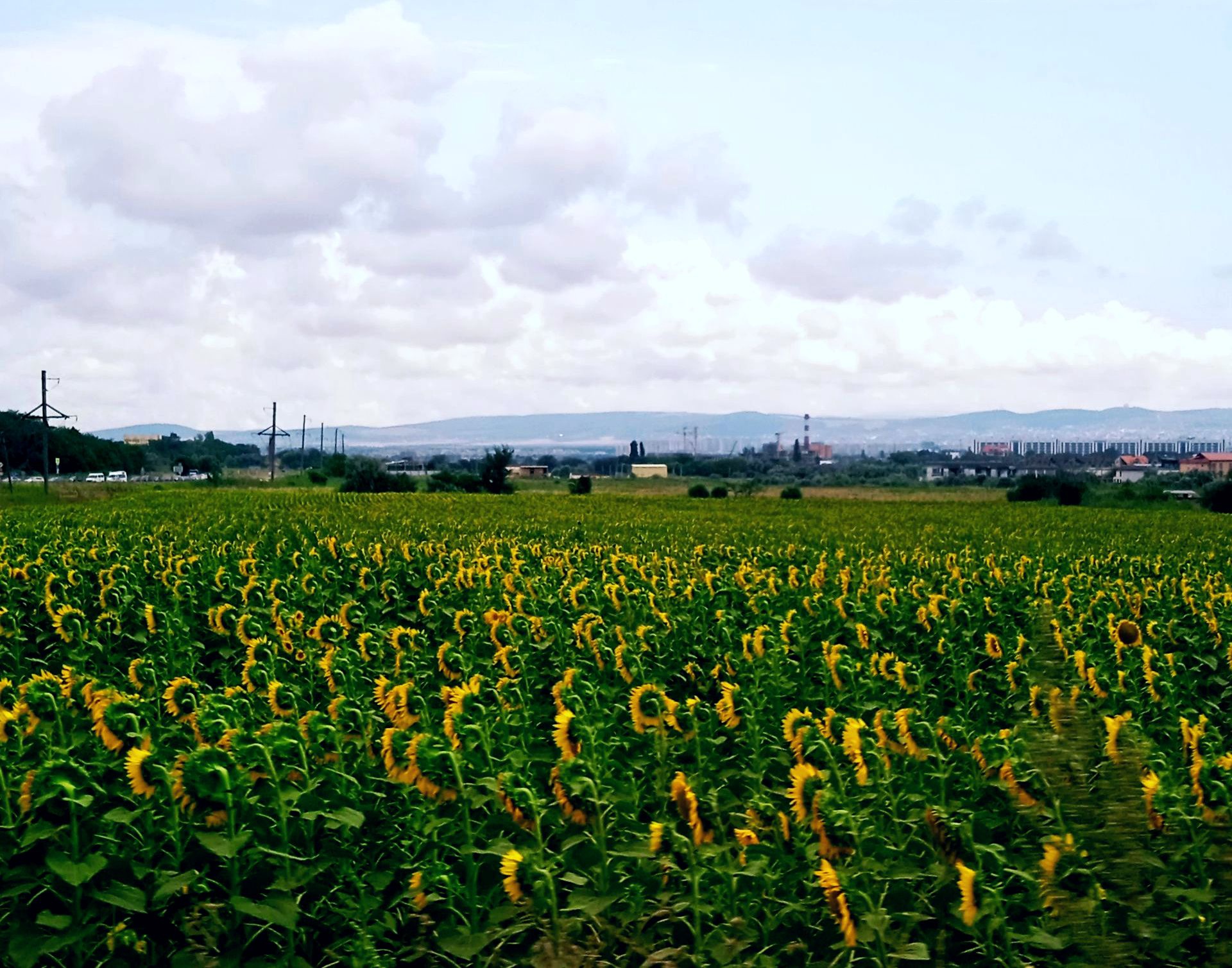 Аватар пользователя