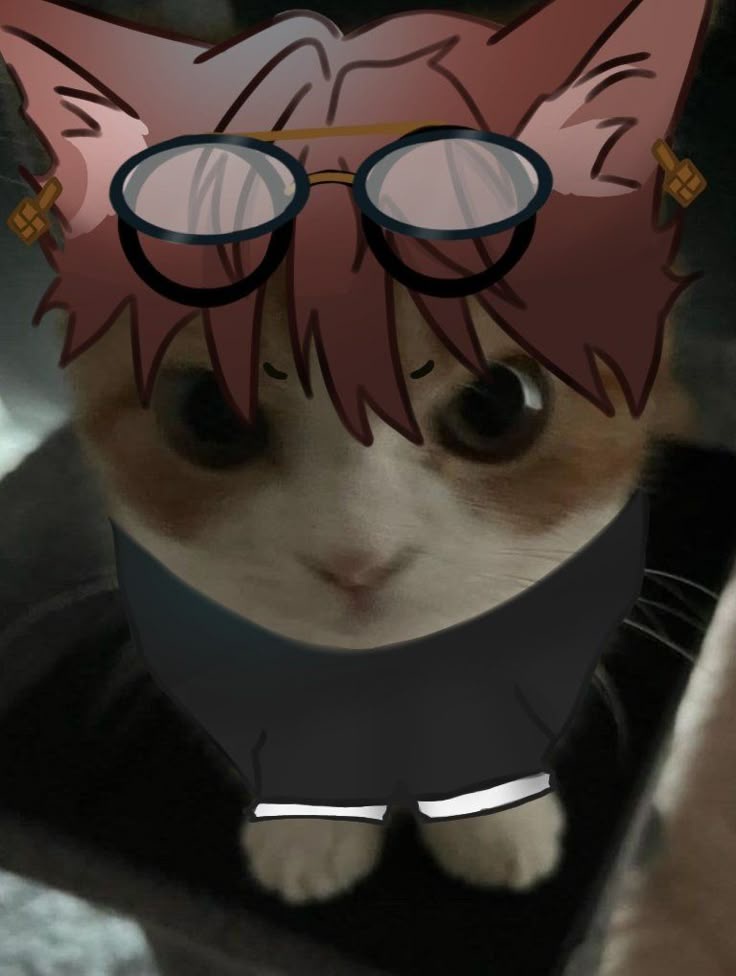 Аватар пользователя