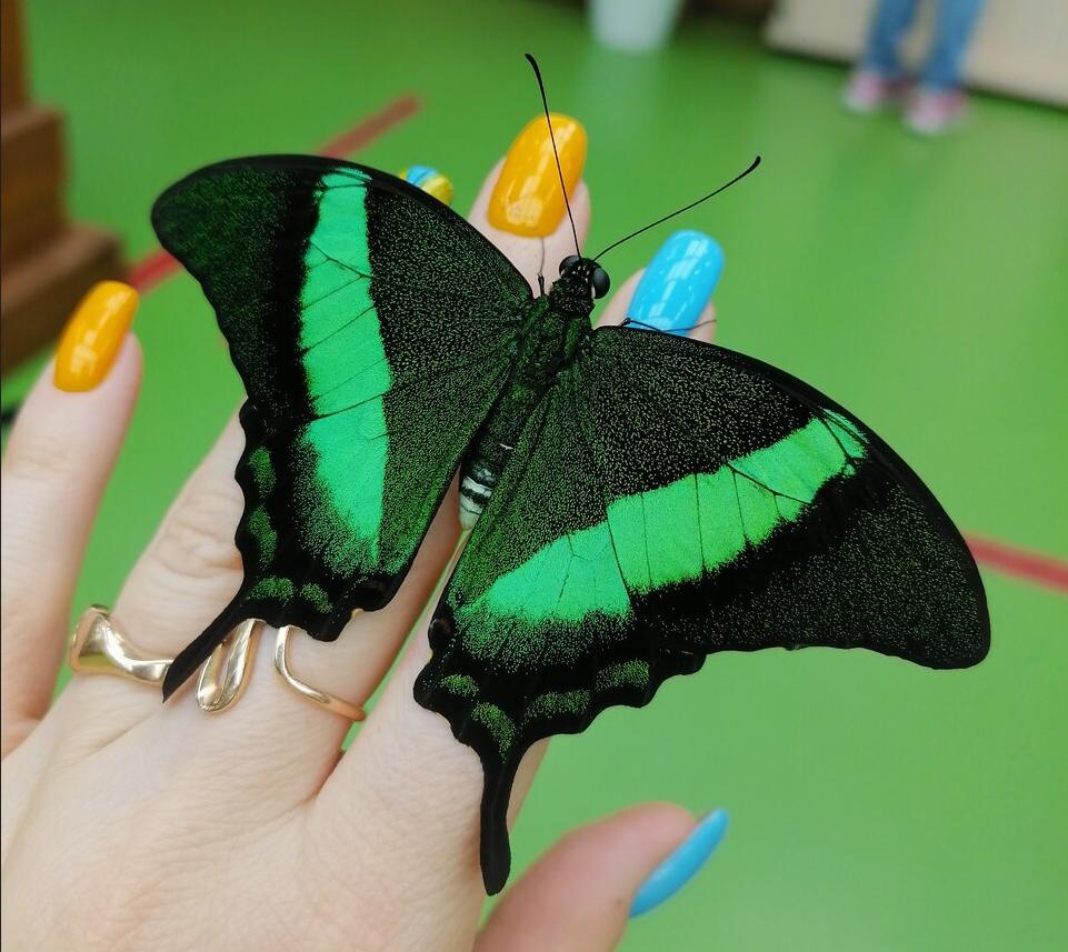 Аватар пользователя