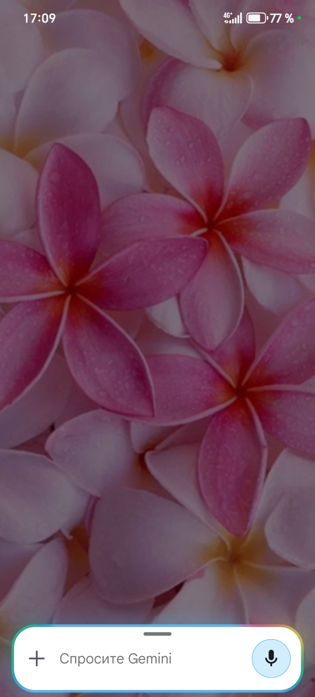 Аватар пользователя