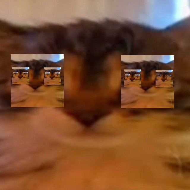 Аватар пользователя