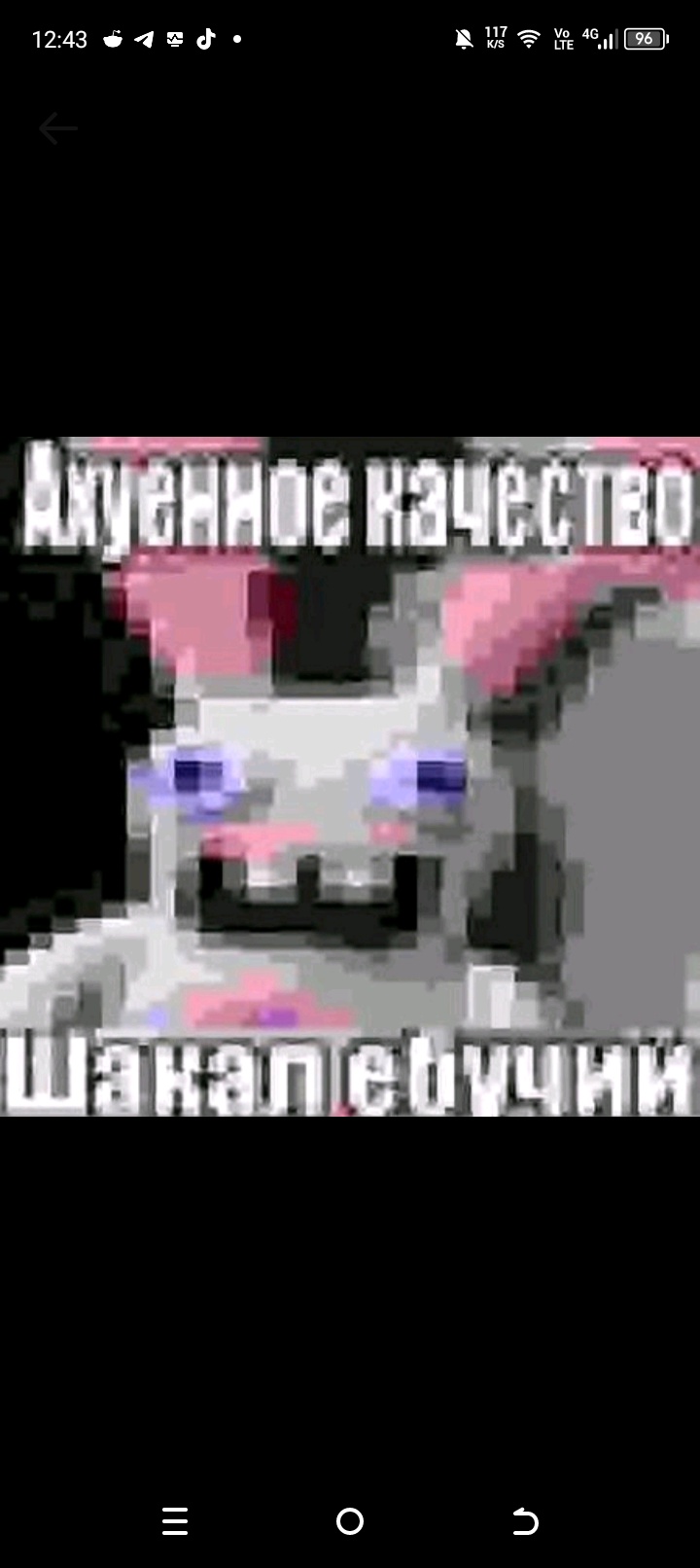 Аватар пользователя