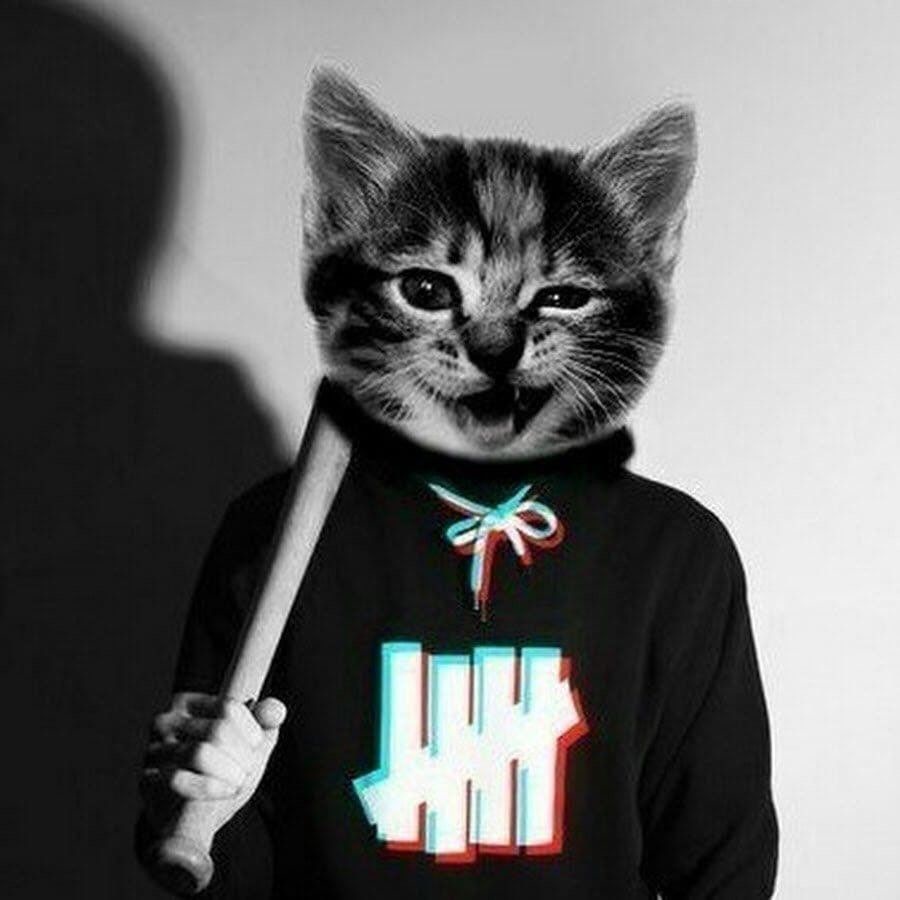 Аватар пользователя