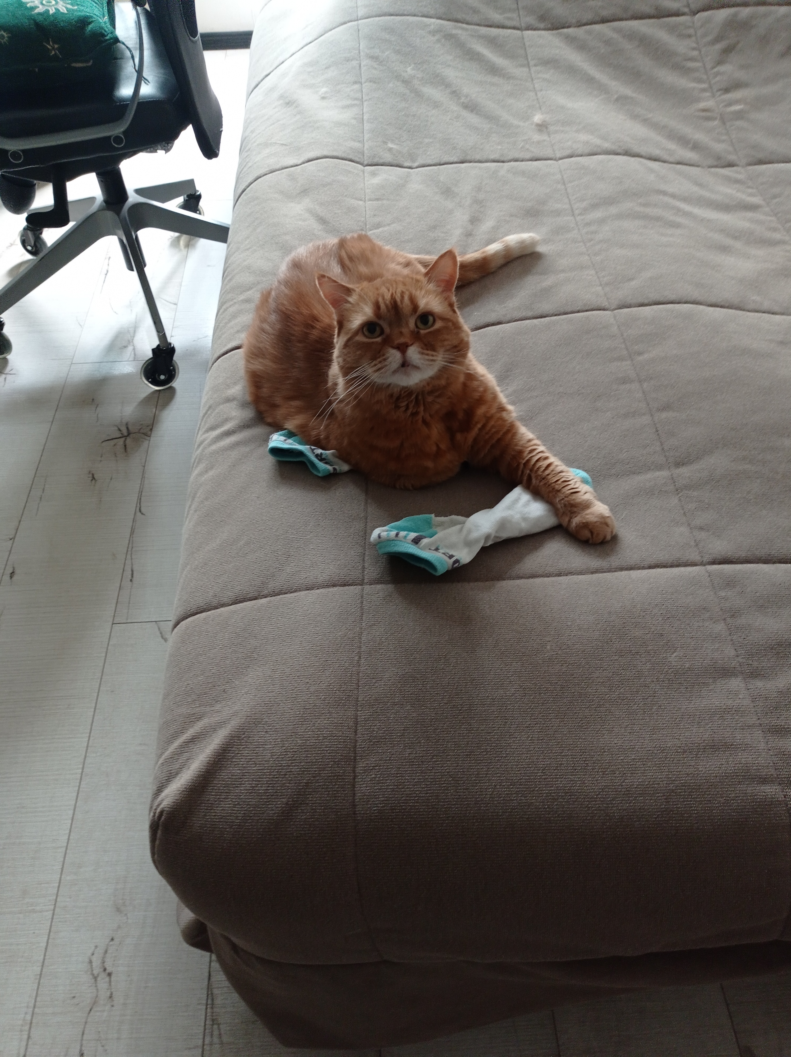 Аватар пользователя