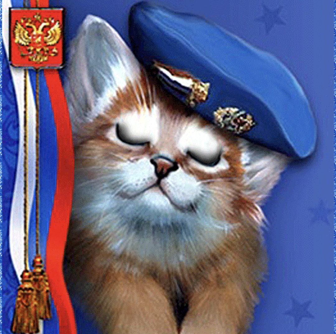 Аватар пользователя