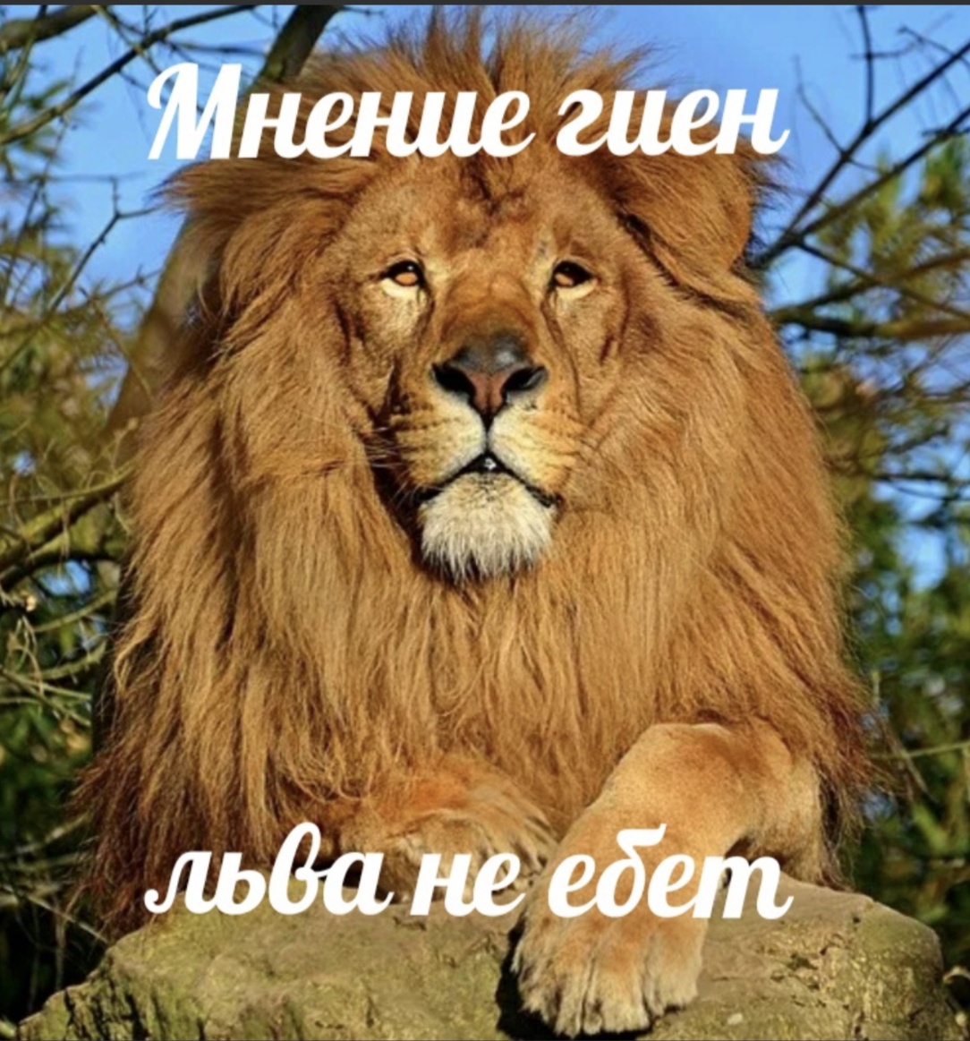 Аватар пользователя