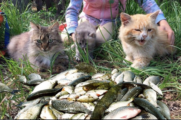 Аватар пользователя