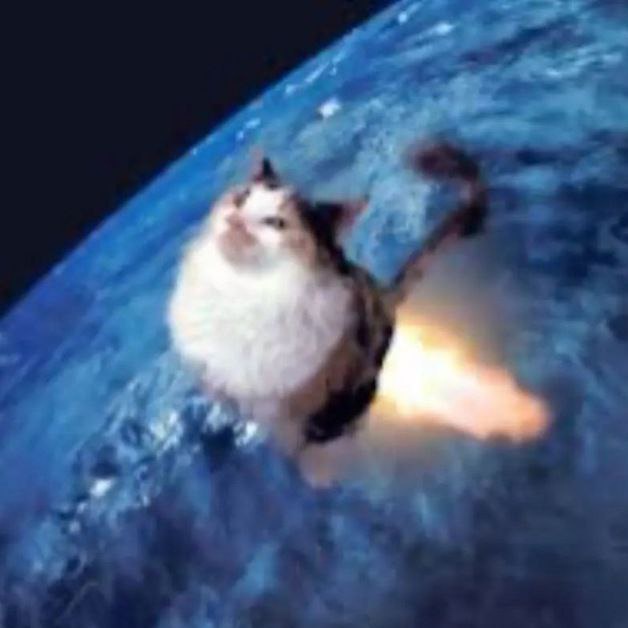 Аватар пользователя