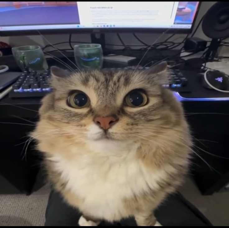 Аватар пользователя